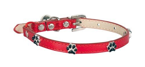 Obojek pro kočky Paws Collar - Red 30 cm x 10 mm