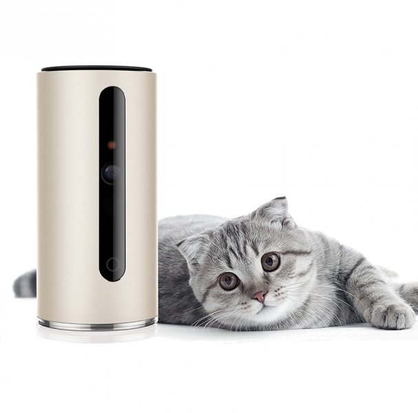PetKit Mate Wifi kamera pro psy a kočky - Wood