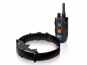 Dogtra ARC 802 pro 2 psy