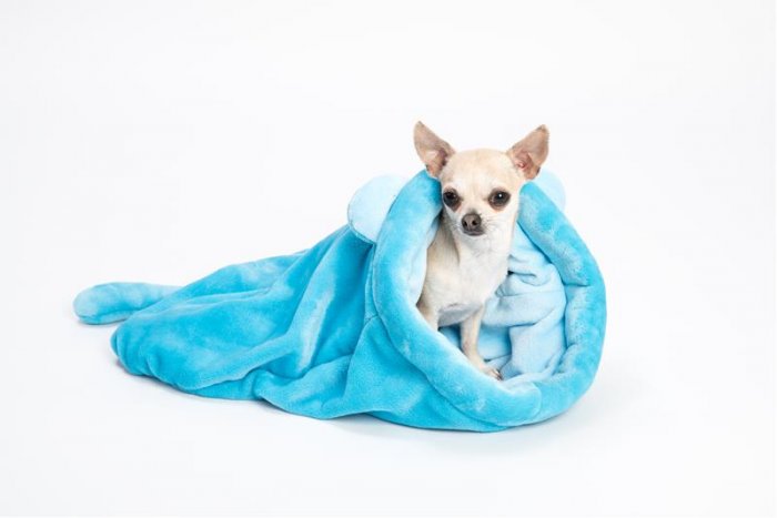 Spací pytel flanel fleece Lasky tyrkysový 48 x 48 cm