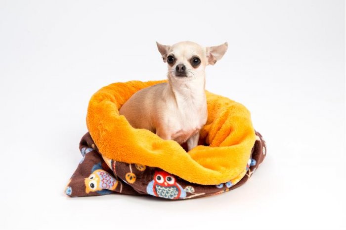 Spací pytel 4v1 flanel fleece Rozárka hnědo-oranž 50 x 50 cm