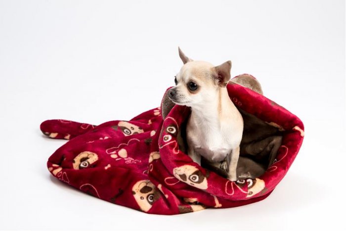 Spací pytel flanel fleece Dášenka vínový 48 x 48 cm