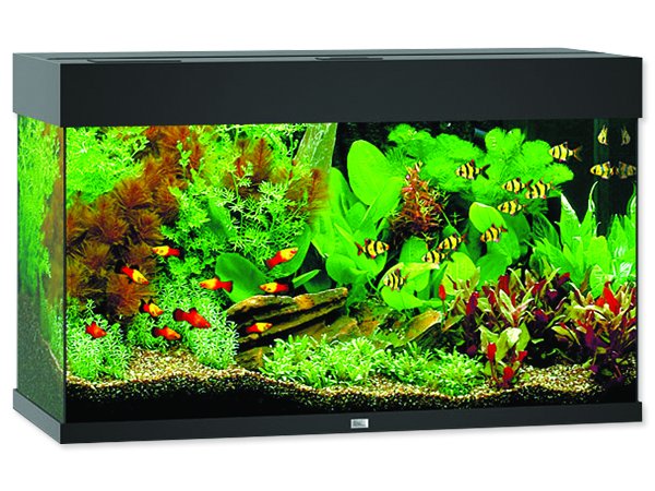 Akvárium set JUWEL Rio LED 125 černé 125l
