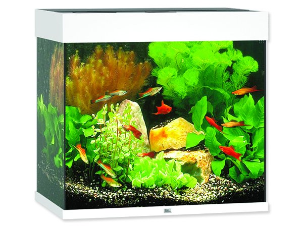Akvárium set JUWEL Lido LED 120 bílá 120l