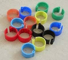 KROUŽEK pro slepice rozpínací 14mm