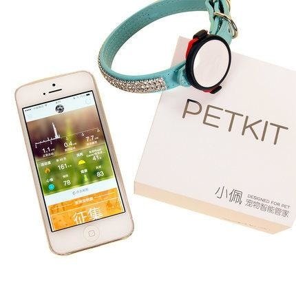 PetKit P2 monitor aktivity pro psy a kočky - zlatá
