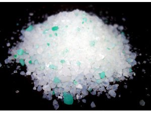 ELEGANT Cat Apple 10l