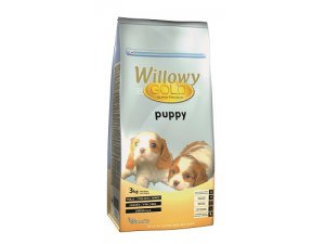 Willowy Gold Puppy 3 kg