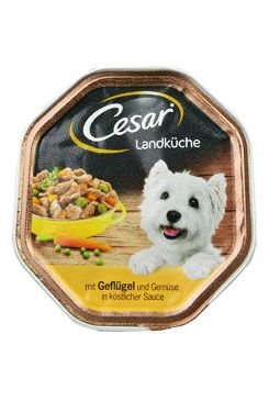 Cesar drůbeží se zeleninou 150g