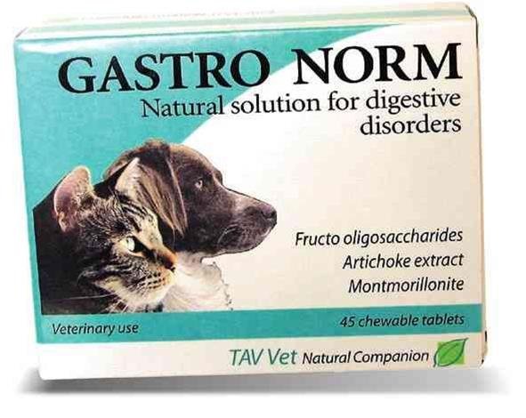 WERFFT CHEMIE Gastro Norm 45tbl