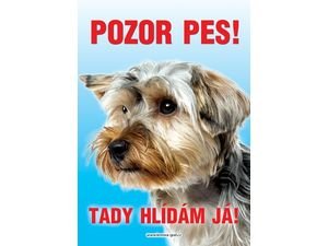 Nálepka 12 x 8,5 cm - Pozor pes yorkšír