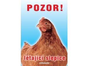 Tabulka 26 x 15,5 cm slepice