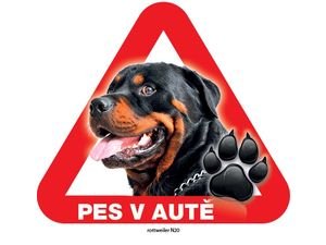 Nálepka 14,5 cm na plech pes v autě - rottweiler