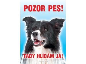 Tabulka pes 26 x 15,5 cm kolie border