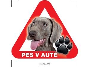 Nálepka 14,5 cm na sklo pes v autě - výmarský ohař