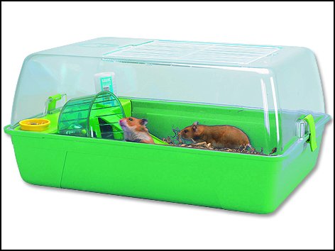 Box RODY Hamster zelený 55 x 39 x 26 cm