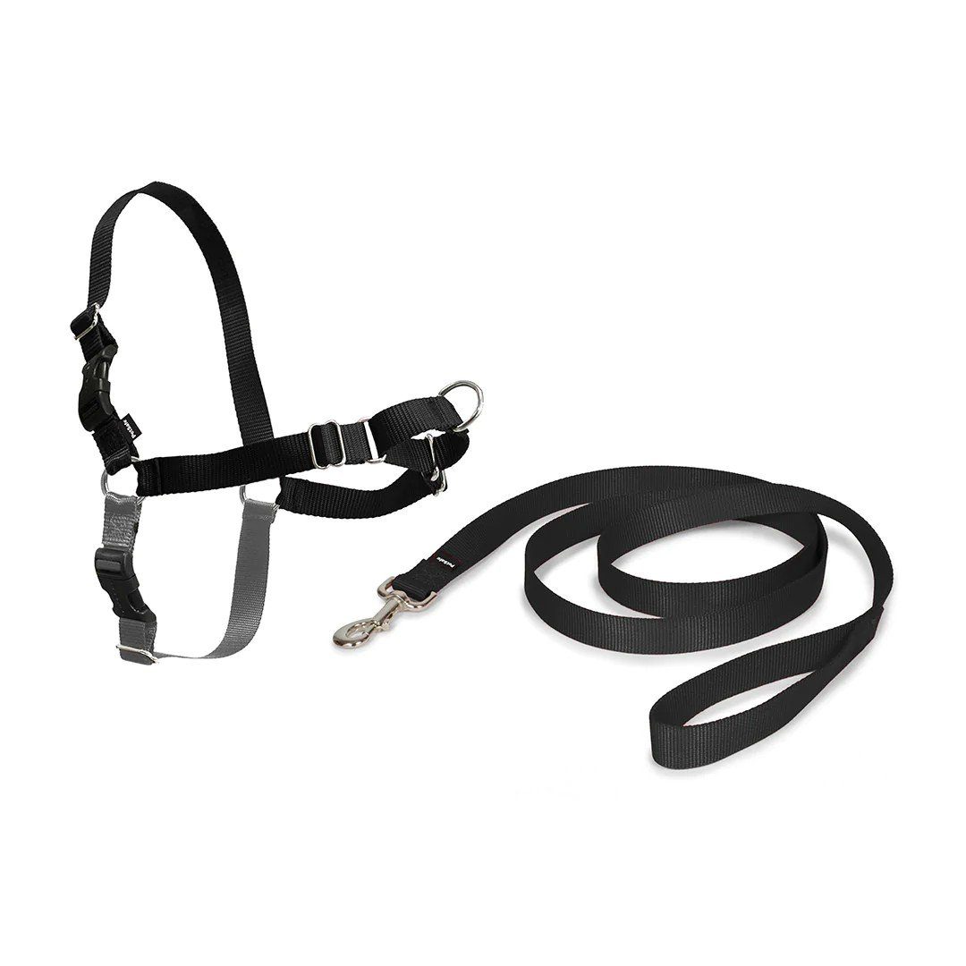 PetSafe® Postroj EasyWalk černý XL
