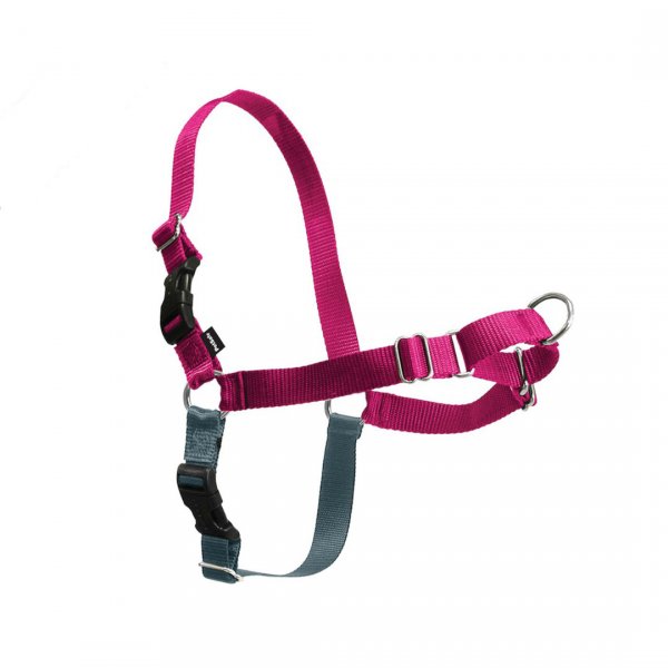 PetSafe® Postroj EasyWalk malinový L