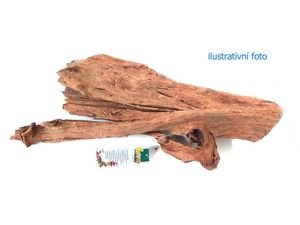 Tatrapet akvarijní kořen L Mangrove drift wood 35-45cm