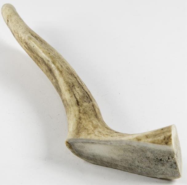 Dančí paroh mini 50-70g
