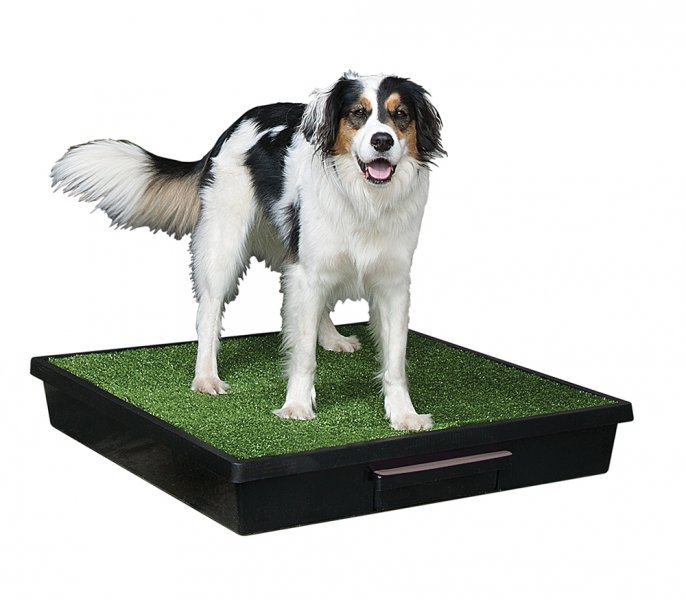 Petsafe mobilní toaleta pro psy Pet Loo L