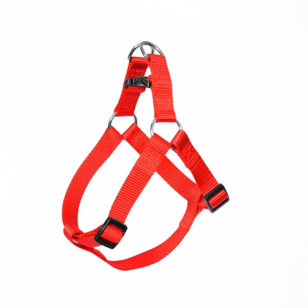 Postroj nylon Červená DUVO+ 2,0 x 50-65 cm
