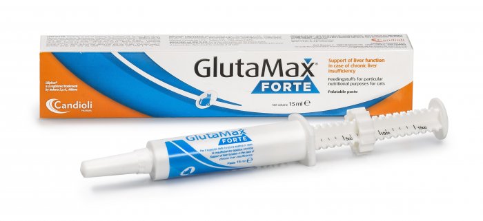 GlutaMax Forte pst 15ml