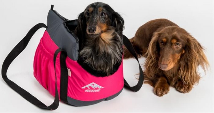 Transp.Taška softshell "Sněženka LUX" šedo-malinová 50 cm
