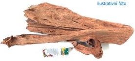 Tatrapet akvarijní kořen Mangrowewood L   35 - 45 cm