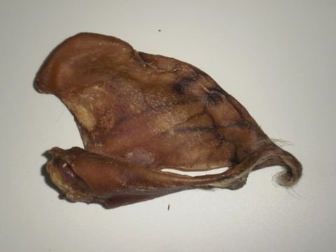 sušené vepřové ucho XL 1kus