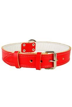 Obojek kožený hladký podložený 65cmx30mm