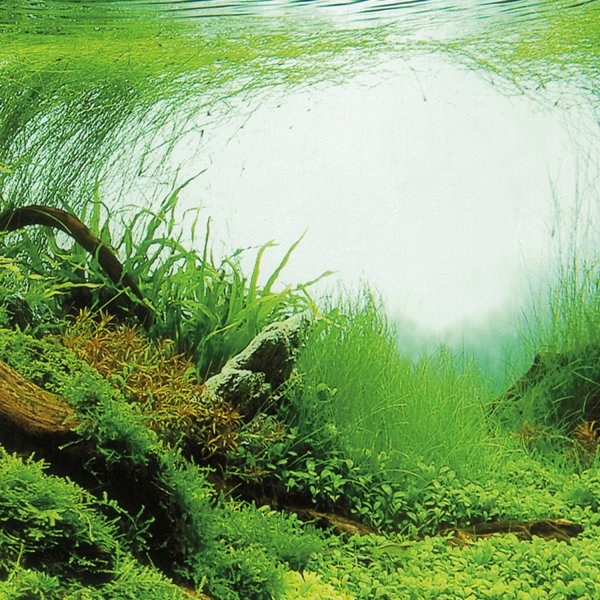 Pozadí TRIXIE akvarijní oboustranné 80 cm 1ks