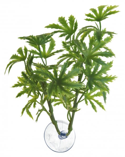 Zoo Med Betta Plant Papaya
