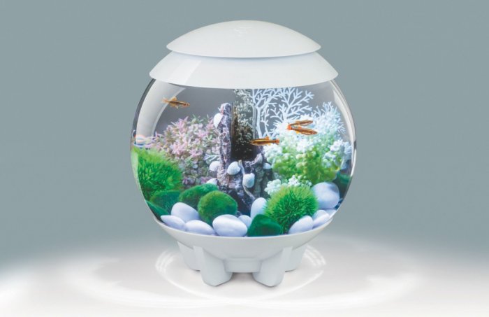 Akvárium BIORB Halo s barevným LED 15l bílé