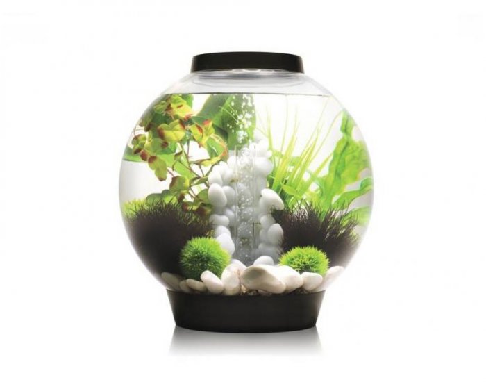 Akvárium BIORB černé 30l