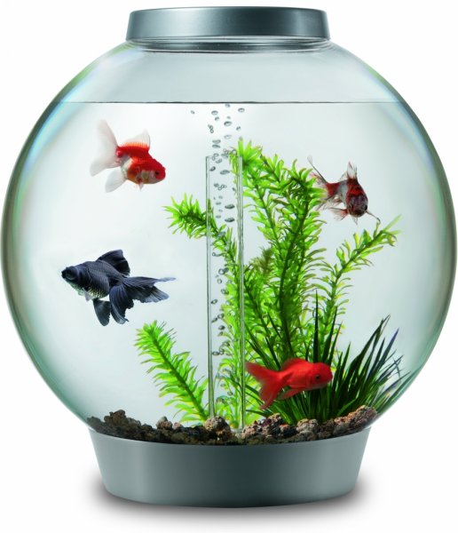 Biorb akvarijní set stříbrný 30 l