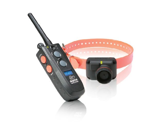 Dogtra 2502T&B