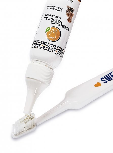 ProDen Zubní pasta 25ml