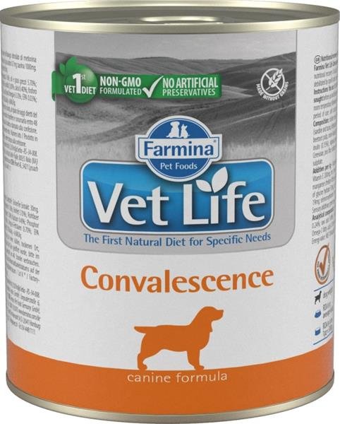 Vet Life Natural Dog konz. Convalescence 300g
