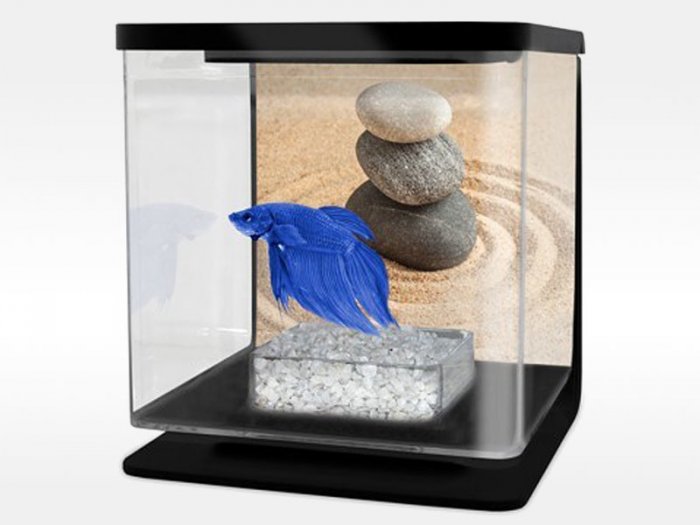Cat-Gato Betarium Betta kit sand 2 l
