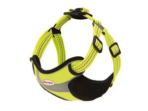 Record postroj Himalaya 30-42 cm nylon reflexní fosforový