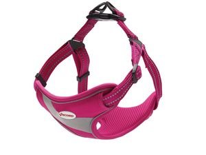 Record postroj Himalaya 30-42 cm nylon reflexní růžový