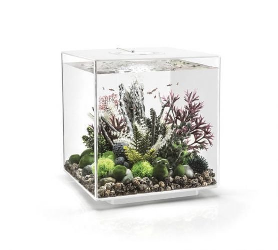 Akvárium BIORB CUBE MCR bílé 30l