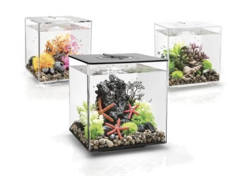 BiOrb CUBE černé 60l LED