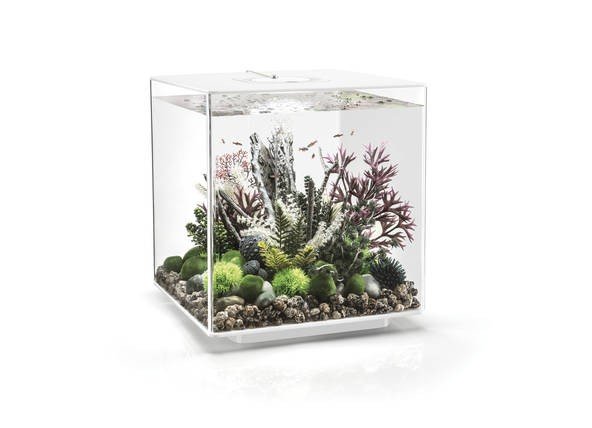 BiOrb CUBE bílé 60l LED