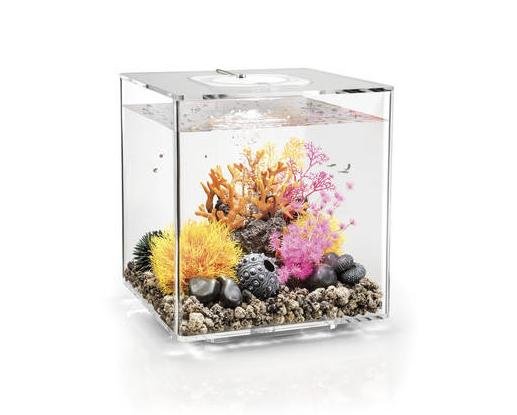 BiOrb CUBE transparentní 30l LED