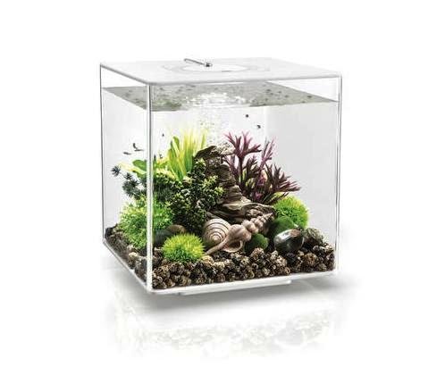 Akvárium BIORB CUBE LED bílé 30l