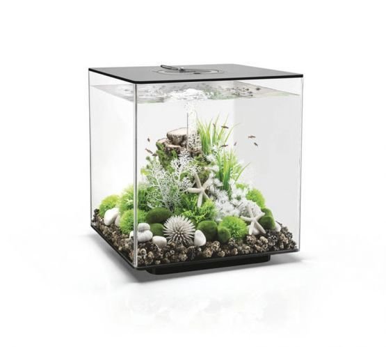 Akvárium BIORB CUBE MCR černé 60l