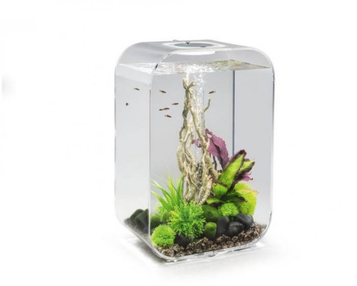 Akvarium BIORB LIFE MCR clear 45l