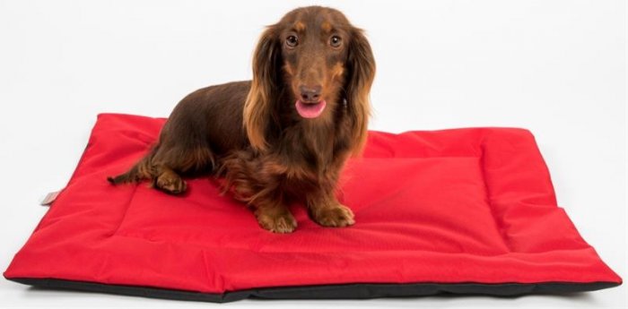 Podložka obdélník nylon Sychrov červená 70 x 50 cm